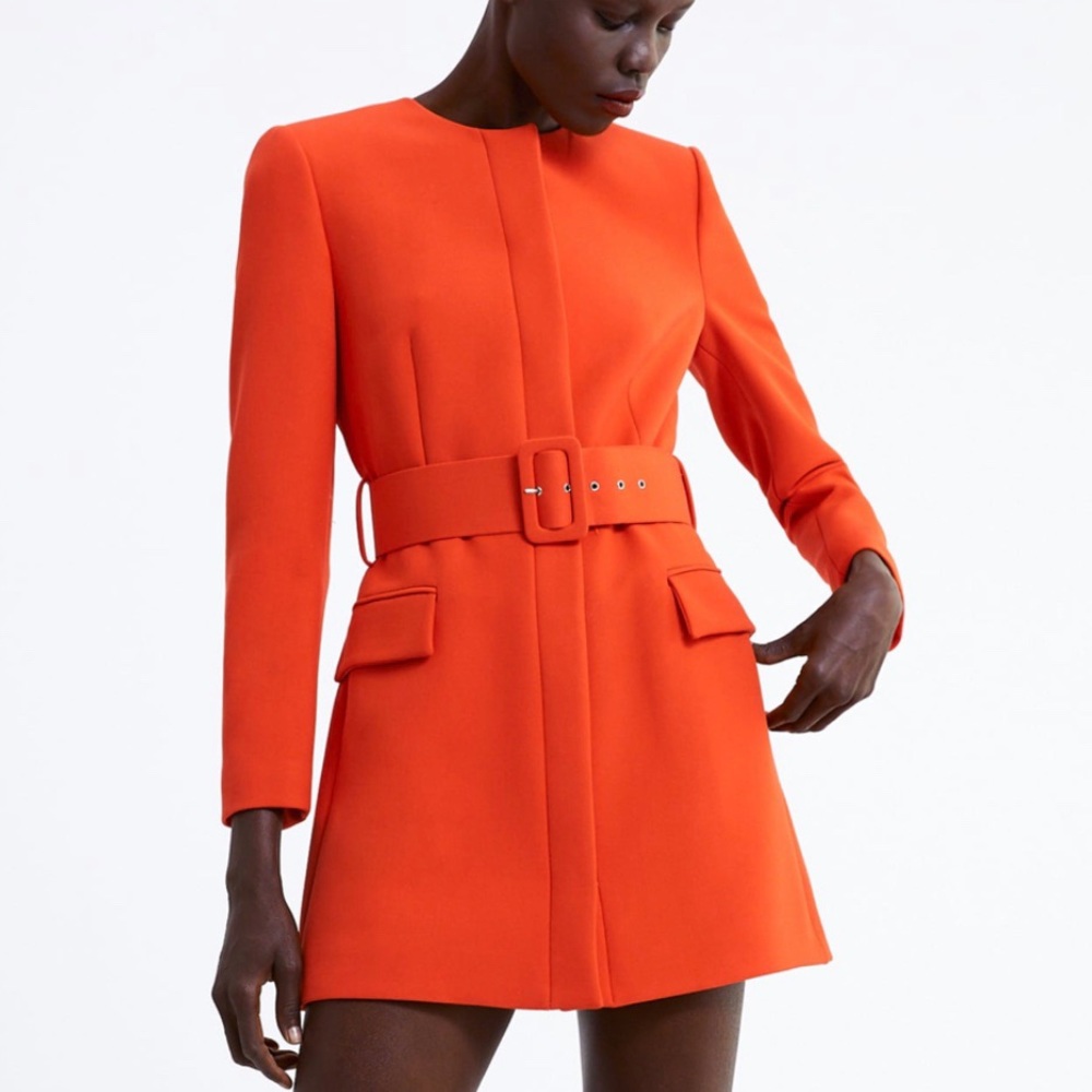 Zara Belted Frock Coat